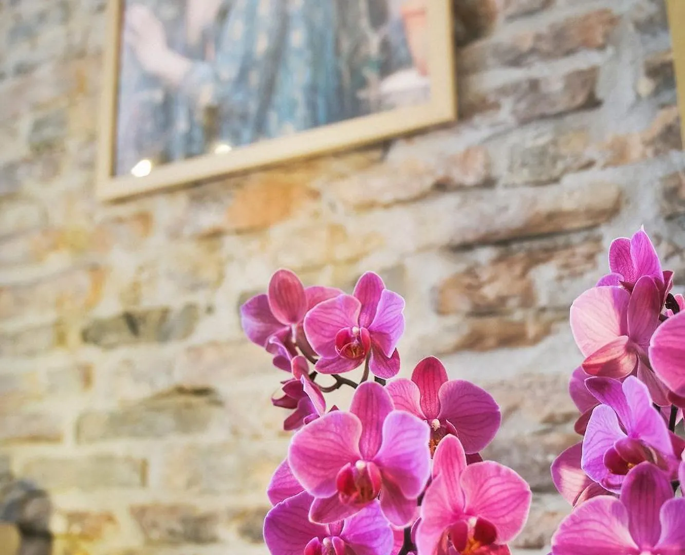 Delta Dreams Guest House Porto Viro